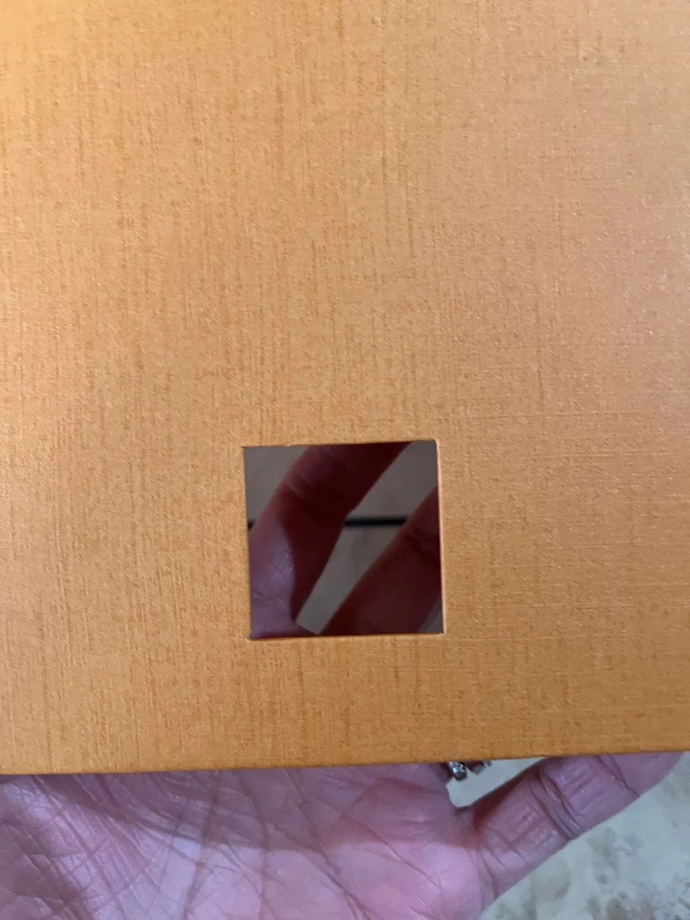 Louis Vuitton empty authentic